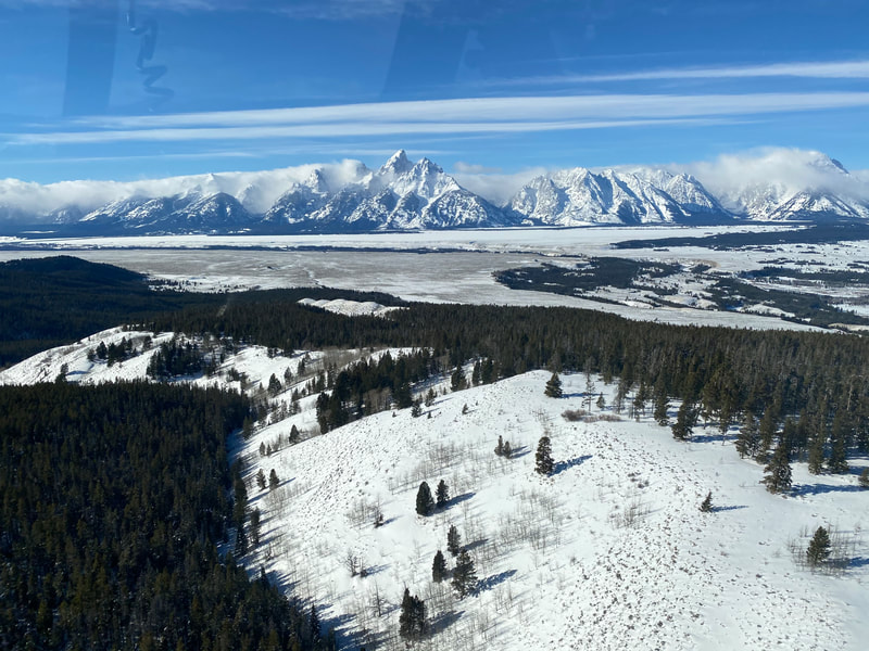 Teton Mountain Range winter wonderland from WRA's helicopter! Photo credit E. Wittbrodt